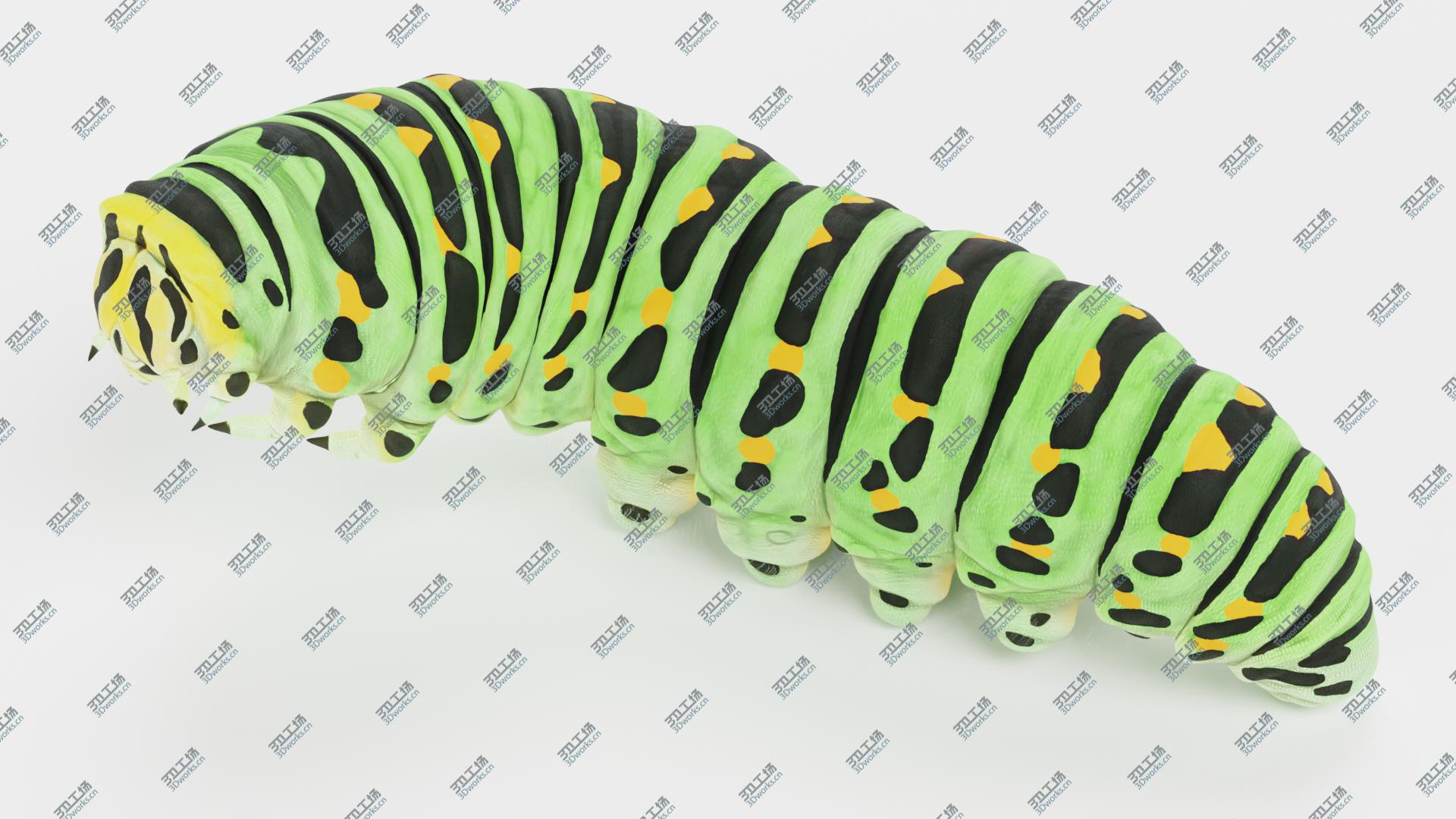 images/goods_img/202104091/Swallowtail Caterpillar Rigged 3D model/5.jpg